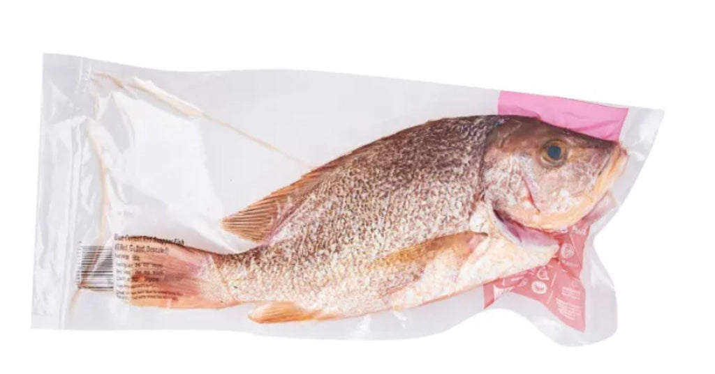 Buy Frozen Red Grouper Online Delivery | Evergreen Seafood Singapore