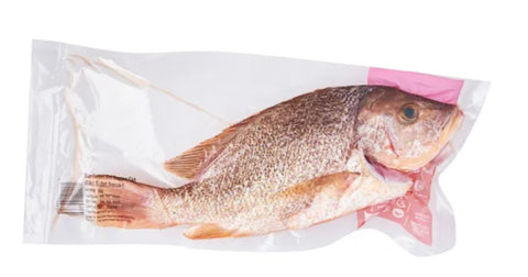 Frozen Red Snapper